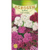 Coada soricelului seminte - Achillea millefolium mix