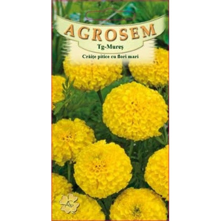 Craite pitice cu flori mari seminte - Tagetes erecta nana galbene