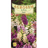 Degetel seminte - Digitalis purpurea mix