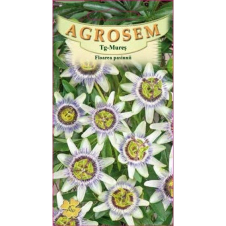 Floarea pasiunii seminte - Passiflora caerulea