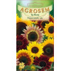 Floarea soarelui mix seminte - Helianthus annuus mix