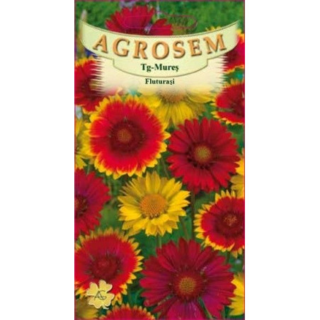 Fluturasi seminte - Gaillardia aristata mix