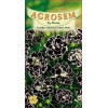 Garofite chinezesti black-white seminte - Dianthus chinensis Black-White