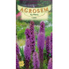 Liatris seminte - Liatris spicata