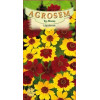Lipscanoaie seminte - Coreopsis tinctoria mix