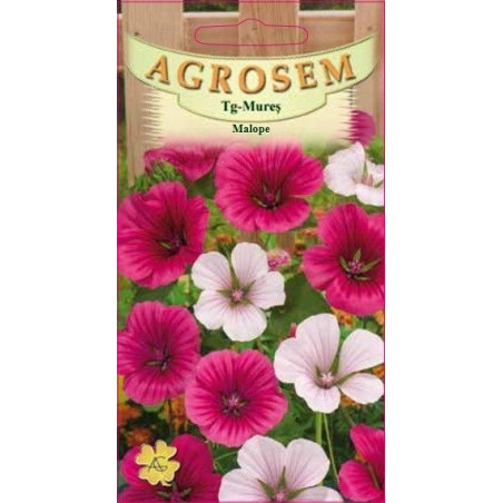 Malope seminte - Malope trifida mix