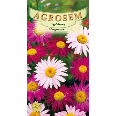 Margarete mix seminte - Chrysanthemum cocineum mix