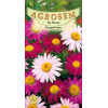 Margarete mix seminte - Chrysanthemum cocineum mix