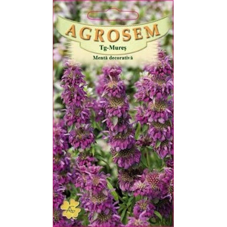 Menta decorativa seminte - Monarda citriodora mix