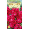 Mixandre rosii seminte - Matthiola incana Red