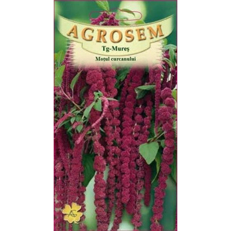 Motul curcanului rosu seminte - Amaranthus caudatus