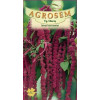 Motul curcanului rosu seminte - Amaranthus caudatus