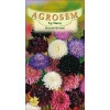 Muscata dracului seminte - Scabiosa atropurpurea mix