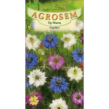 Negrilica seminte - Nigella damascena mix