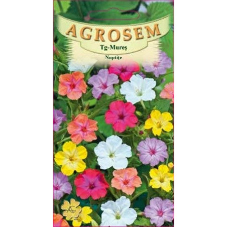Noptite seminte - Mirabilis jalapa mix