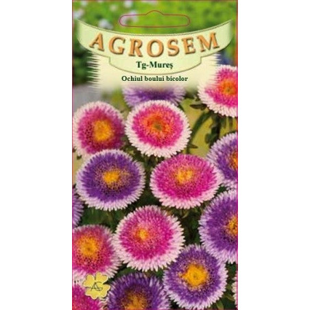 Ochiul boului bicolor seminte - Callistephus chinensis mix