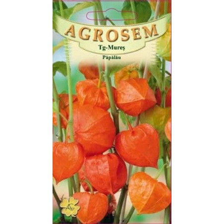 Papalau seminte - Physalis alkekengi