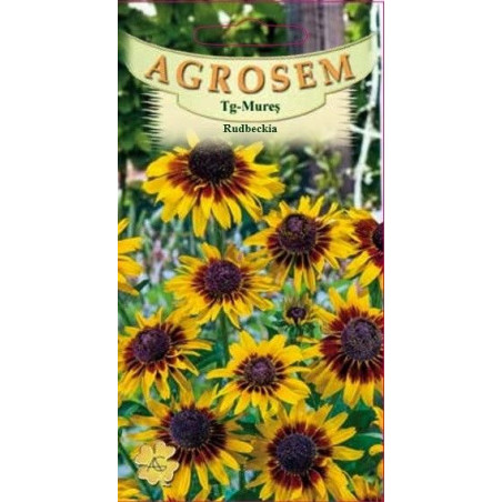 Rudbeckia seminte - Rudbeckia hirta