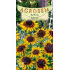 Rudbeckia seminte - Rudbeckia hirta