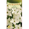 Regina noptii alba seminte - Nicotiana alata