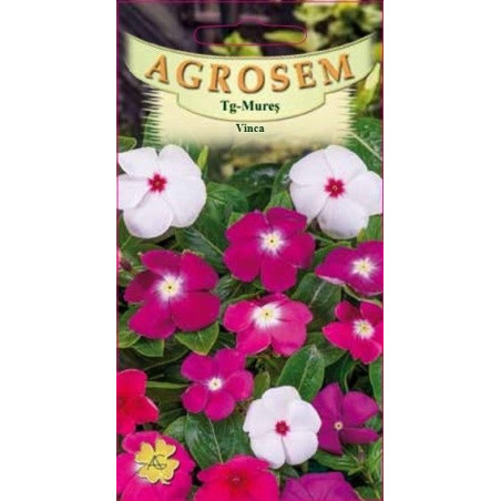 Vinca seminte - Catharanthus roseus mix