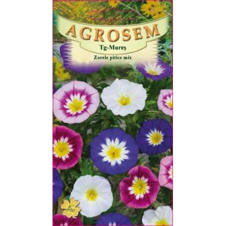 Zorele pitice mix seminte - Convolvulus tricolor mix