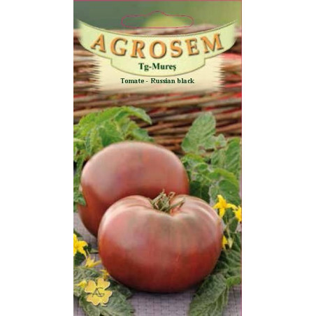 Tomate seminte - Russian Black