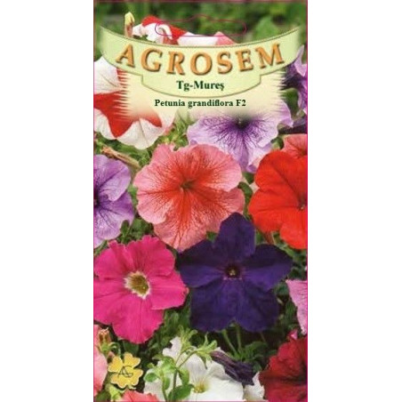 Petunia grandiflora F2 seminte - Petunia x hybrida grandiflora F2