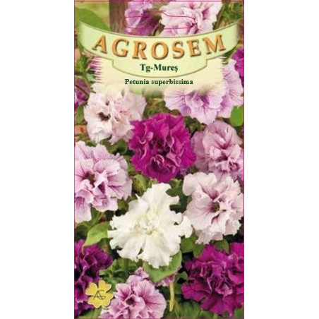 Petunia superbissima seminte - Petunia x hybrida superbissima