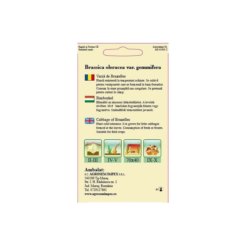 Varza de Bruxelles seminte - Long Island