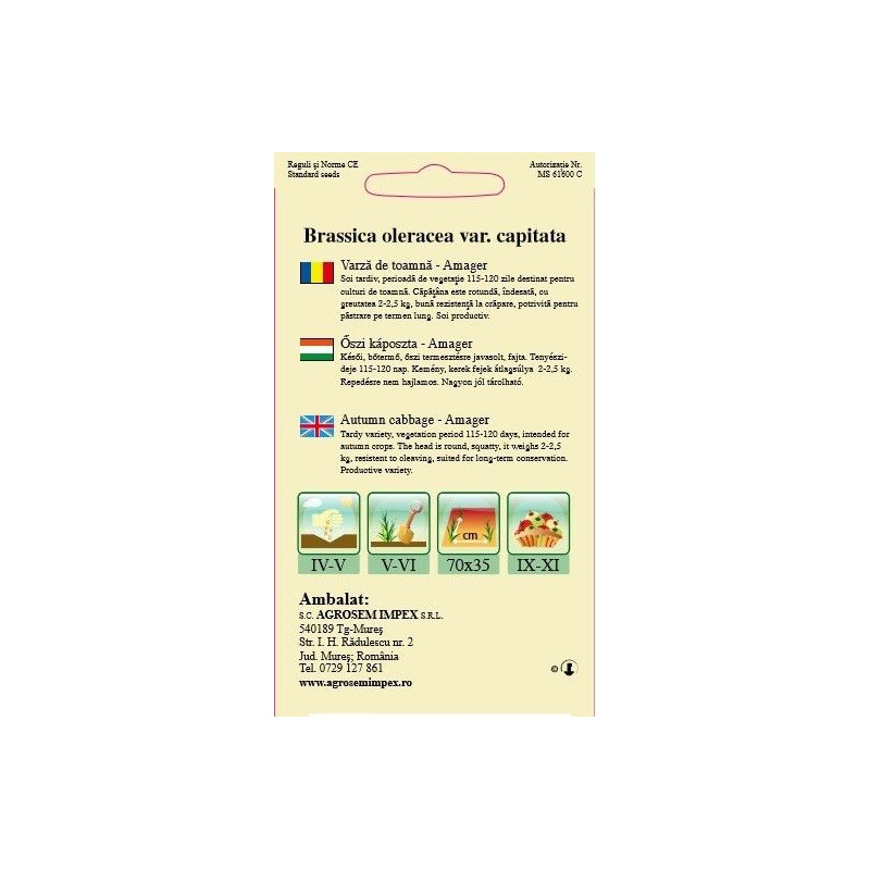 Varza de toamna seminte - Amager