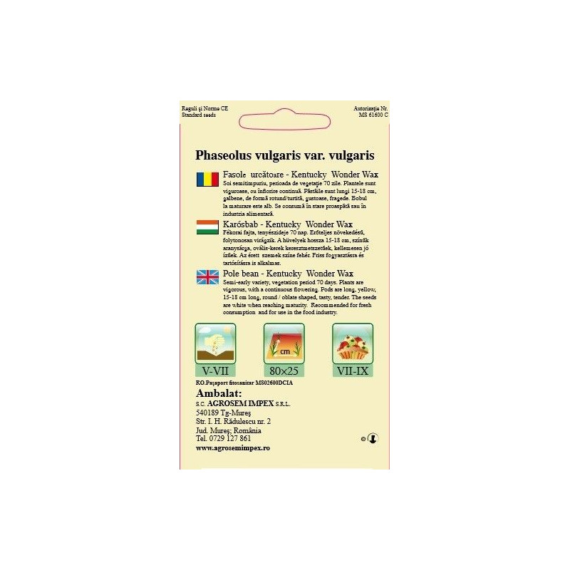 Fasole urcatoare seminte - Kentucky Wonder Wax
