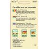 Dovlecel seminte BigPack - Cucurbita pepo var. giromontia White Bush