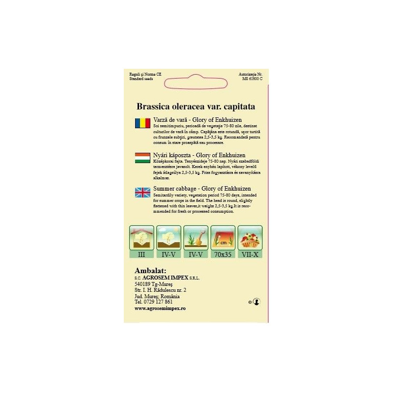 Varza de vara seminte BigPack - Glory of Enkhuizen