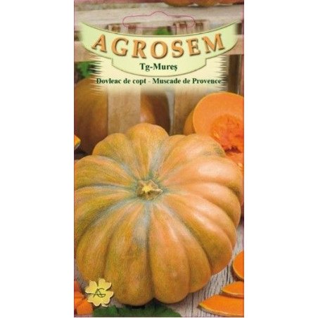 Dovleac de copt seminte - Cucurbita maxima Muscade de Provence