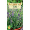 Isop de gradina seminte - Hyssopus officinalis