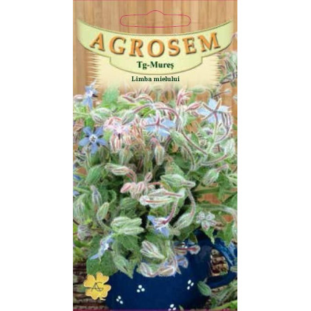 Limba mielului seminte - Borago officinalis