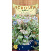 Limba mielului seminte - Borago officinalis