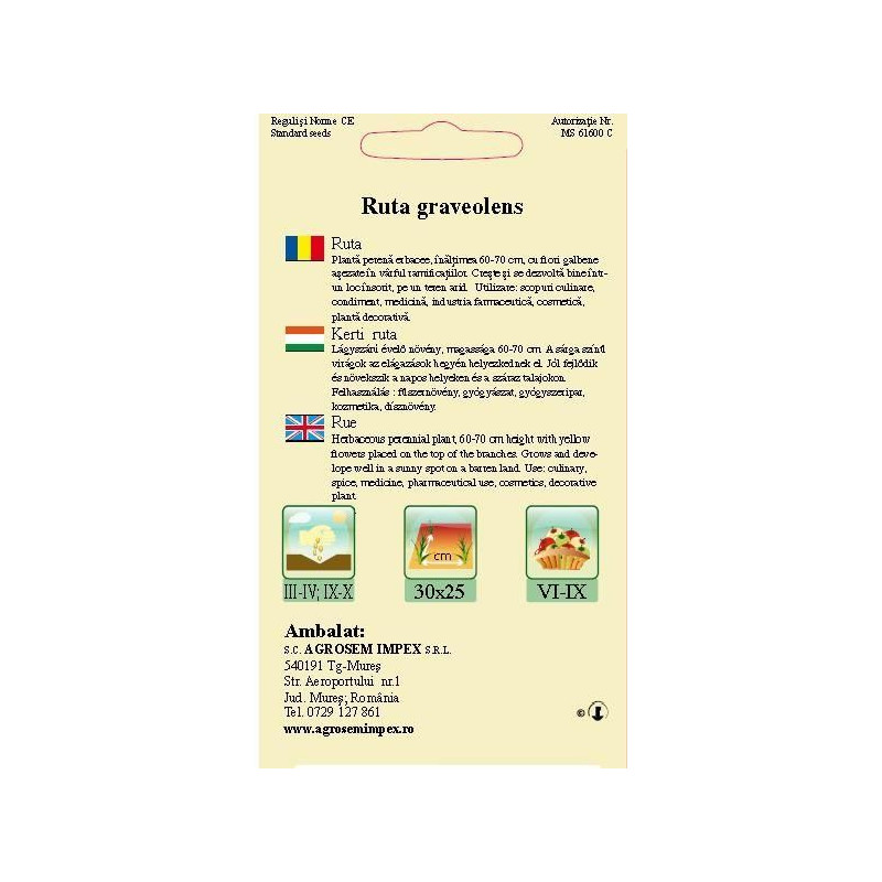 Ruta seminte - Ruta graveolens