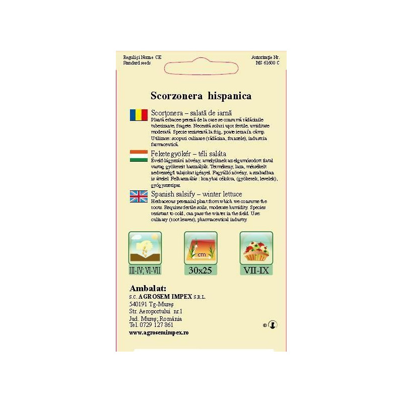 Scortonera seminte - Scorzonera hispanica