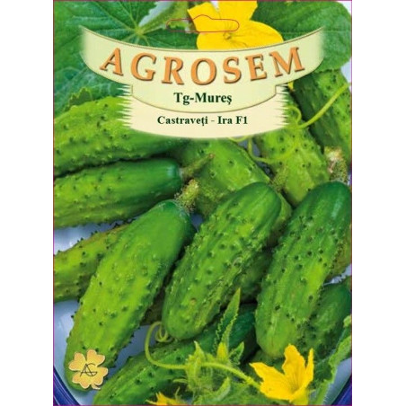 Castraveti hibrid seminte - Cucumis sativus Ira F1