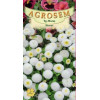 Banutei albi seminte - AS - Bellis perennis White