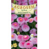 Banutei Pomponette roz seminte - AS - Bellis perennis 