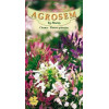 Cleome - Floarea paianjen - AS - Cleome spinosa mix