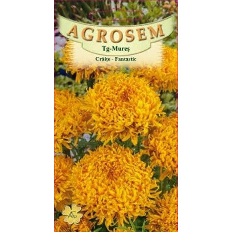 Craite Fantastic seminte - AS - Tagetes erecta Fantastic Golden Yellow
