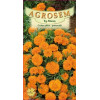 Craite pitice portocalii seminte - AS - Tagetes patula nana Orange