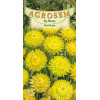 Flori de paie galbene seminte - AS - Helichrysum bracteatum