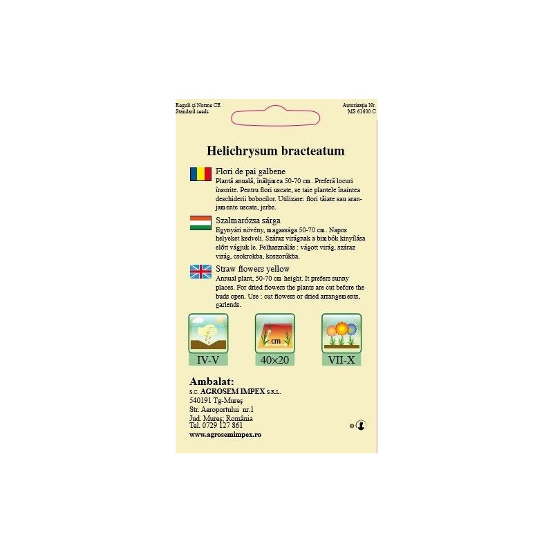 Flori de paie galbene seminte - AS - Helichrysum bracteatum