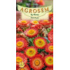 Flori de paie portocalii seminte - AS - Helichrysum bracteatum