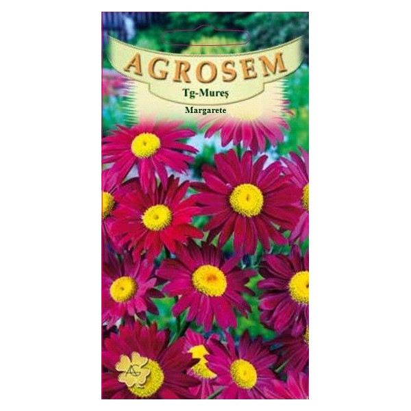Margarete rosii seminte - AS - Chrysanthemum coccineum